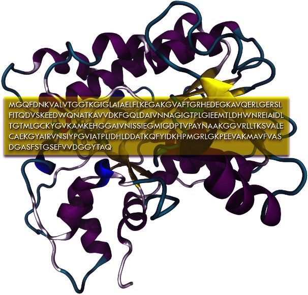 Quantum-Chemical Descriptors of Hydroxychloroquine and Remdesivir