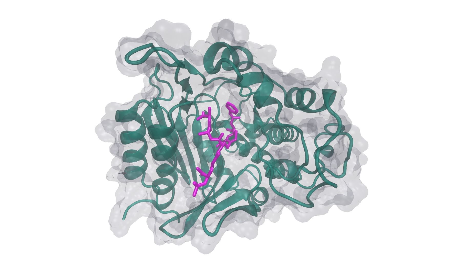 Protein structure